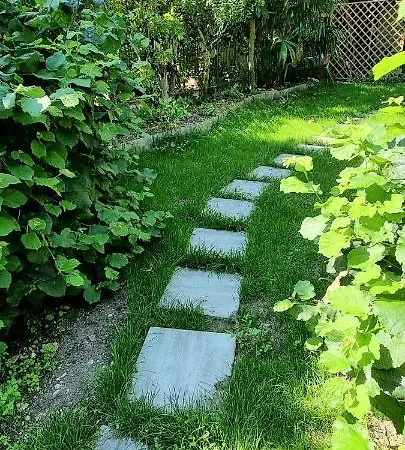 Simone - Terrasse Et Jardin - Tv - Wifi *