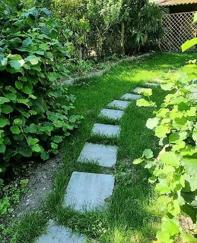 Simone - Terrasse Et Jardin - Tv - Wifi *