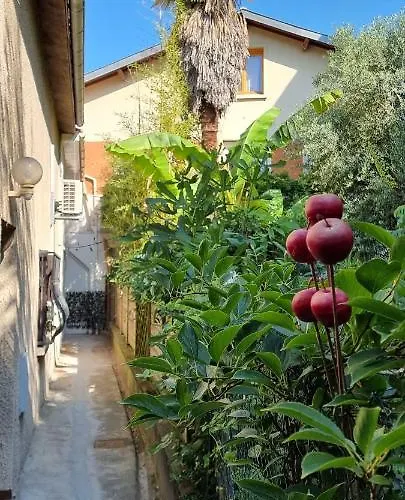 アパート Simone - Terrasse Et Jardin - Tv - Wifi