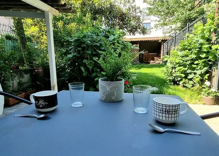 Simone - Terrasse Et Jardin - Tv - Wifi * トゥールーズ