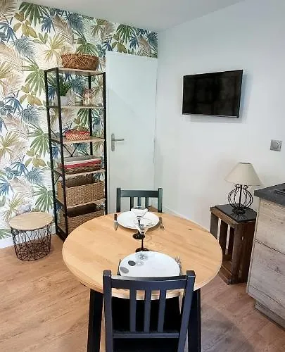 Simone - Terrasse Et Jardin - Tv - Wifi * トゥールーズ