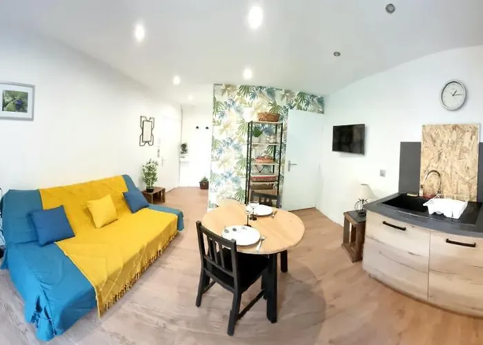 Simone - Terrasse Et Jardin - Tv - Wifi * トゥールーズ